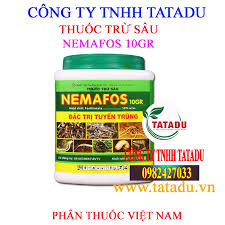 NEMAFOS 10GR