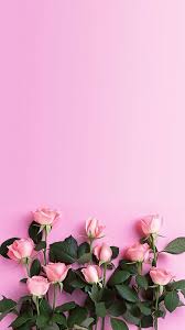 Wallpaper Iphone Beautiful Flowers Pink Roses Wallpaper De Iphone Rosa Papel De Parede Para Iphone Fundos Cor De Rosa