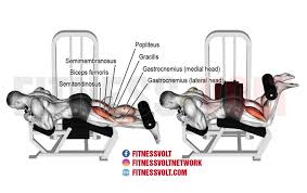 Meanings of hamstrings in german english dictionary : Hamstring Curl
