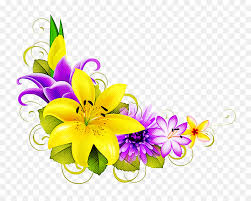 Maybe you would like to learn more about one of these? Flower Lily Yellow Cut Flowers Purple Png Download 800 711 Free Transparent Flower Png Download Cleanpng Kisspng