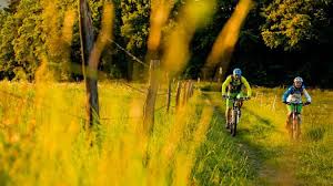 Bruckentage Sinnvoll Nutzen Die Schonsten Mountainbike Touren Die 10 Besten Touren Fur Ein Verlangertes Bike Wochenende Touren Schwarzwald Tourismus Bayerische Alpen