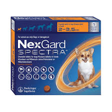 It is important to remember that. Nexgard Spectra Chewable Mixed Parasite Tablets For Dogs 1 Pack Puppify Pet Store Mobile Grooming