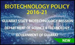 11 Unique Election Card Name Change Online Gujarat Image In 2020 Election Card Card Template Name Change