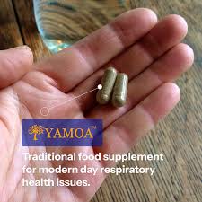 Image result for Funtumia