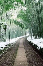 Liese mahieu via getty images it doesn't get better than this. 330 Interesting Places To Visit Ideas Places To Visit Places Beautiful Places