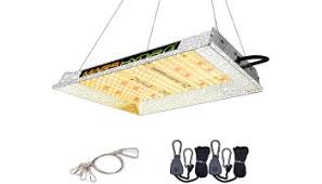 Check spelling or type a new query. Ipower Grow Light Reviews What For Me