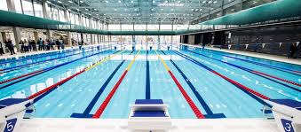Lmao i'm so mad katinka hosszu won the gold for swimming and beat a world record by a full two seconds and all the announcers would talk about is how much she owes her victory to her husband. Vallalkozas Mar Nem Nyomoz A Rendorseg Hosszu Katinkaek Cege Es A Duna Arena Ugyeben Hvg Hu