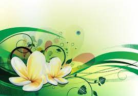 Vector Illustration With Plumeria Flower Vector Art Free Vector Art Plumeria