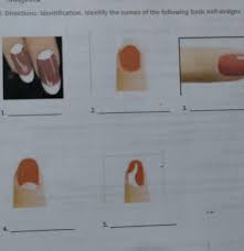Also, a small nail stencil can create the supreme lettering or you can try white decals. 1 Directions Identification Identify The Names Of The Following Basic Nail Designs1 2 3 4 5 Brainly Ph