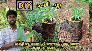For those wanting to dress up the indoor location by using a decorative pot to hold the ponytail palm, just be sure the inner pot the plant is. à´š à´Ÿ à´šà´Ÿ à´Ÿ à´‰à´£ à´Ÿ à´• à´ª à´² à´¸ à´± à´± à´• à´• à´ª à´ª à´µ à´š à´š Flower Pot Making Malayal Flower Pots Flowers Cement Pots