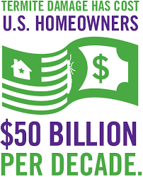 Hometeam Pest Defense Offers Custom Solutions For Your Homes With Dedicated Staff Stay On Schedule And Give Your C Termites Termite Control Termite Prevention