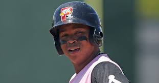 2017 Portland SeaDogs Review