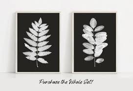 Large Black And White Botanical Prints This Item Is Unavailable Etsy Botanical Art Prints Shipping Art Prints Botanical Print Set
