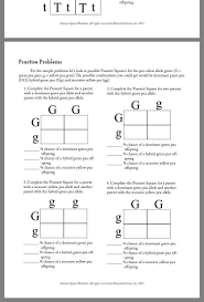 When gregor mendel pioneered the field of genetics, he. Mendelian Genetics Worksheet Answers Pin By Natalie Hauschild On School With Images Biology Worksheet Punnett Squares Practices Worksheets
