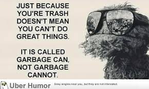 Oscar Was A Wise Old Grouch Funny Pictures Quotes Pics Photos Images Videos Of Really Very Cute Animals