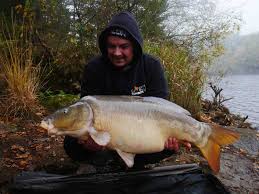 Bait Focus Choisir Une Bouillette Adaptee Pour L Automne Carpe Online Magazine