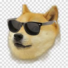 200+ vectors, stock photos & psd files. Brown Dog Wearing Sunglasses Illustration Agar Io Shiba Inu Doge Weather Doge Transparent Background Png Clipart Hiclipart