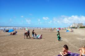 Our 2021 property listings offer a large selection of 11 vacation rentals around la costa partido. Partido De La Costa Reisefuhrer Auf Wikivoyage