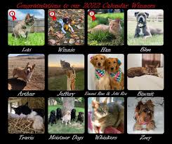 We provide both routine veterinary care and also serve as a regional animal trauma & emergency hospital. Icxkbgqg6tftvm