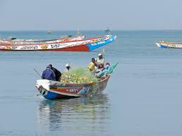 Image result for senegal ocean