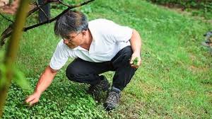 잔여백신 '광클'에 모평 응시까지…인센티브에 접종 열기. Dnhnmq8git4fkm