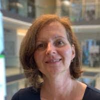 Sara Apel's Instagram, Twitter & Facebook