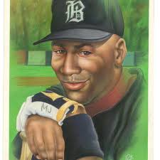 Rare Michael Jordan baseball card commissioned by Ted Williams up for bid  at Goldin