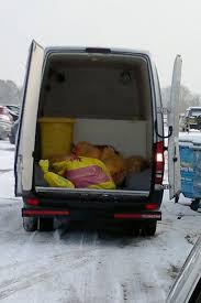 The cost of a pet cremation in the uk depends on two. Pet Cremation Services Pet Cremation Services