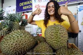 We did not find results for: Musang King Nanas Kelapa Aset Pendapatan Sabah Pada Masa Depan Sarawakvoice Com
