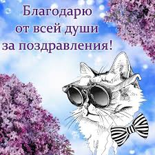 За поздравления спасибо, меня растрогали до слез. Vseh Blagodaryu Za Pozdravleniya