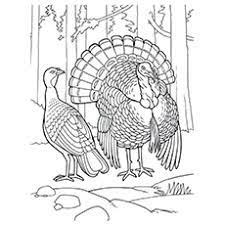 Don't lose your hope, it will end eventually, you just need to be patient. Top 25 Turkey Coloring Pages For Toddlers