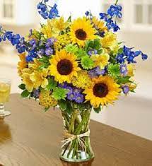 467 apartments for rent in gainesville, fl. Gainesville Florist Gainesville Fl Flower Shop Prange S Florist