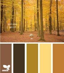 Autumn Gold Seeds Color Design Seeds Colour Schemes