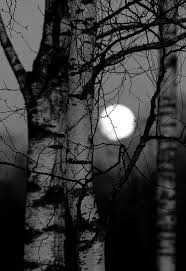 When photography life has covered black and white photography recently, we've shown that it relies upon the concepts of form, texture, lines beautiful photos and very clear explanations. White Photography Beautiful Moon Black And White Photography