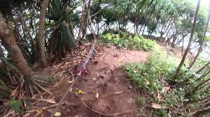 Maybe you would like to learn more about one of these? Hiking To Hideaways Beach Kauai Hawaii Youtube