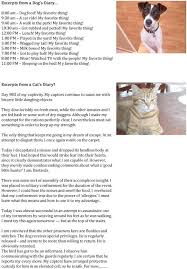 Hahaha So Awesome Cat Quotes Funny Cat Diary Cat Vs Dog