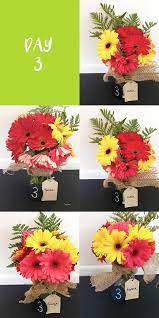 We did not find results for: Mythbusters How To Keep Flowers Fresh Longer Fresh By Ftd