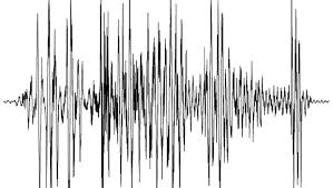 But definitely was a tremor or quake. I Thought The World Was Ending Sa Quake As It Happened News24