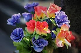 We did not find results for: Colorful Artificial Flowers Vase Decoration Condolence Gravestone Cemetery Outdoor Pikist