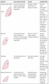 Adventitious Sounds In Respiratory Assessment Nursing