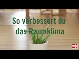 Sowohl für menschen als auch für tiere sind diese schimmelpilzgifte schädlich. Schimmel Entfernen Und Vorbeugen Aber Richtig Utopia De