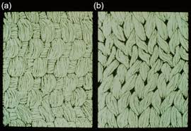 Nehler, jose lopez, mohammad h. Past And Present Ecm Based Vascular Biomaterials Sciencedirect
