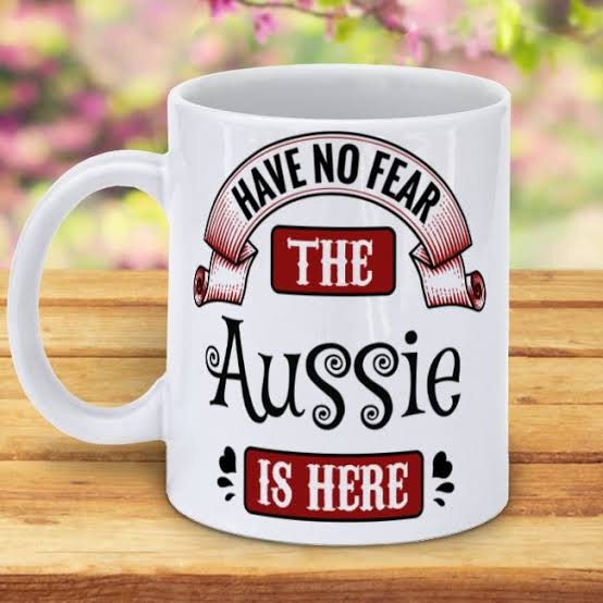 images?q=tbn:ANd9GcTfMQMdgAKywPiZCXYaPqu