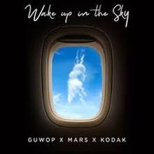 Wake Up In The Sky Wikipedia