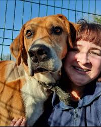 When Bobby came to PAWS