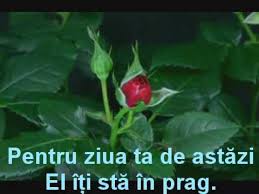 La mulți ani fetita mea astăzi este ziua ta. De Ziua Ta Fratioare By Alionka8908