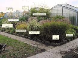 jules verne horticulture horticulture jardins graminees