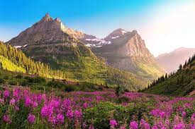 You can also check out these links for more national park maps: Top 20 Best Most Visited National Parks In The Usa Map Tips