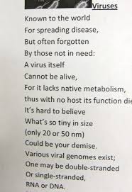 Learners might present the information in a slightly different. Animal Cell Poems