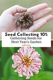 Pin On Gardening And Outdoor